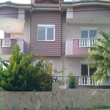 Alanyuz Demirtas *